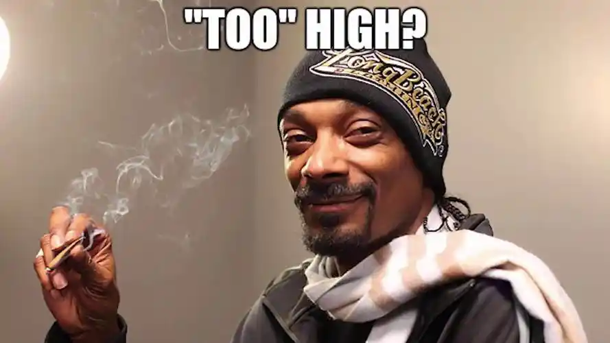 2019-10-22 来自 微博视频