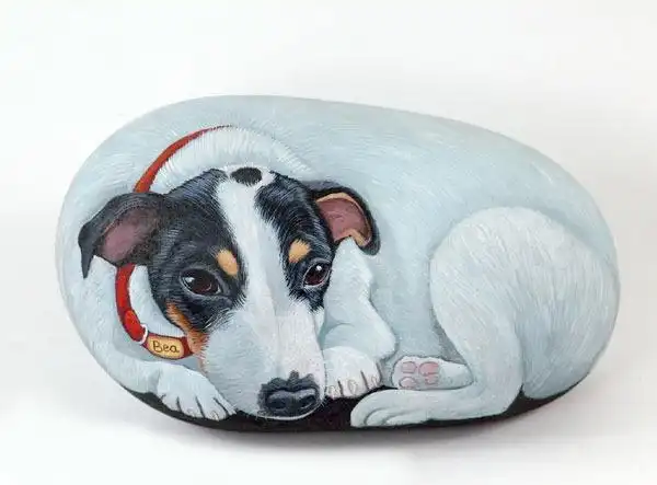 卵石画集——看另类玩石