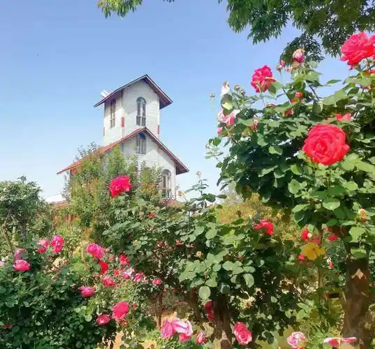 万花谷玫瑰庄园