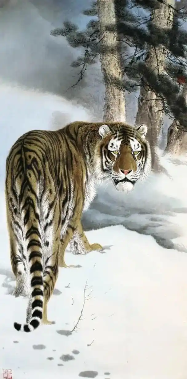 中国画虎第一人,国画大师娄师白弟子张少石创作的精点作品,请欣 - 抖