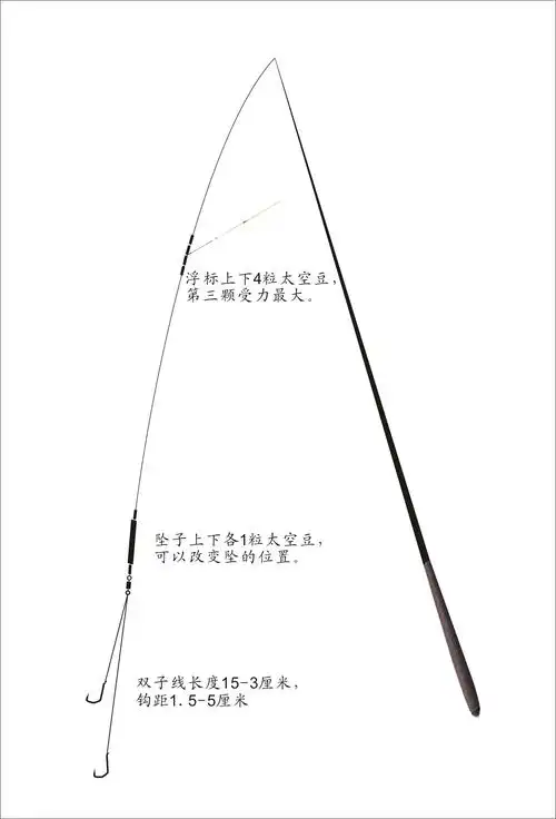 竞技台钓五十讲610