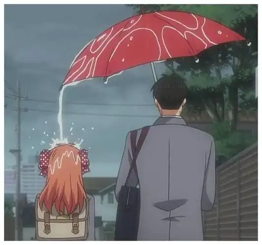 月刊少女野崎君念念不忘必有回响