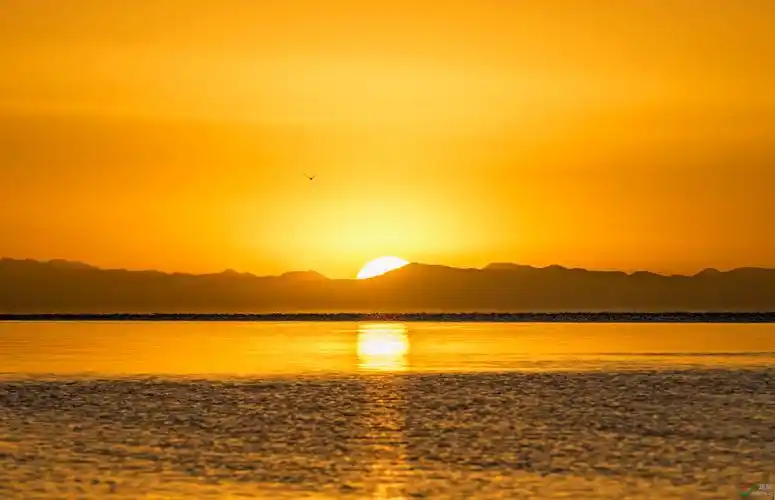 魅力晨曦 - 甘肃版 gansu 鸟网