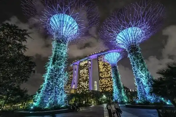 最具赛博风的城市不是重庆,而是新加坡!满地大蘑菇酷炫无比