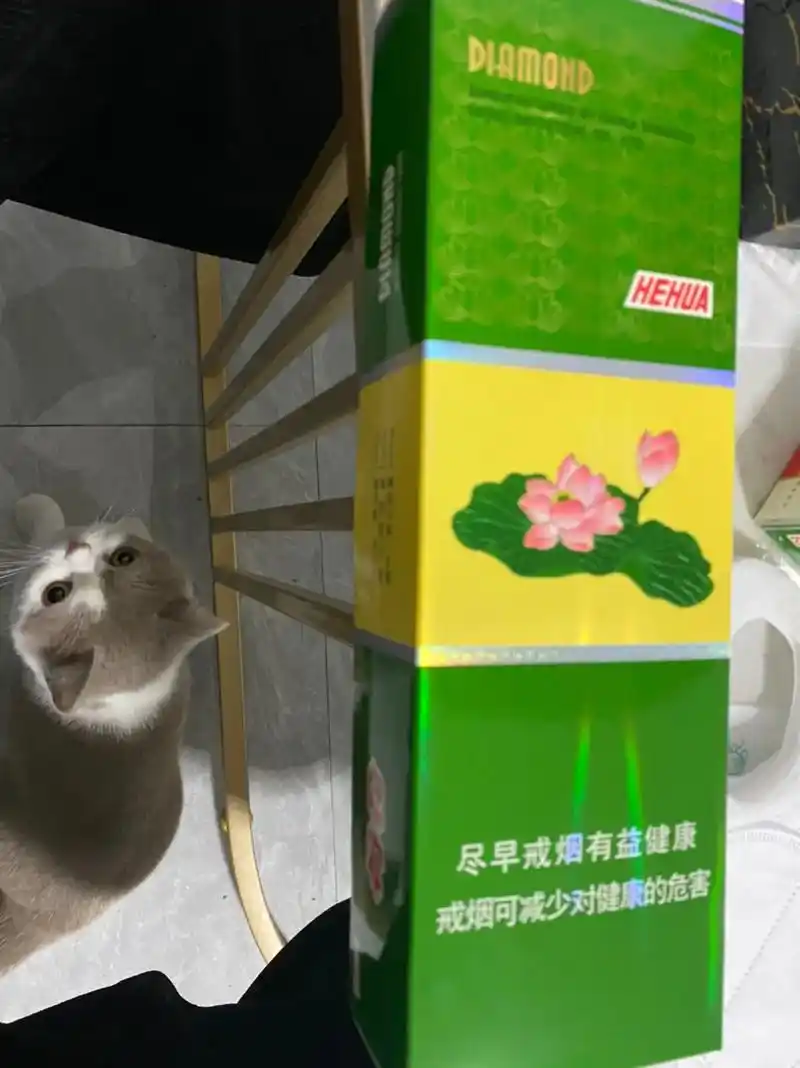 英姿飒爽,一品青莲#荷花 - 抖音