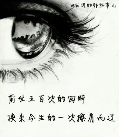 前世五百次的回眸,换来今生的一次擦肩而过