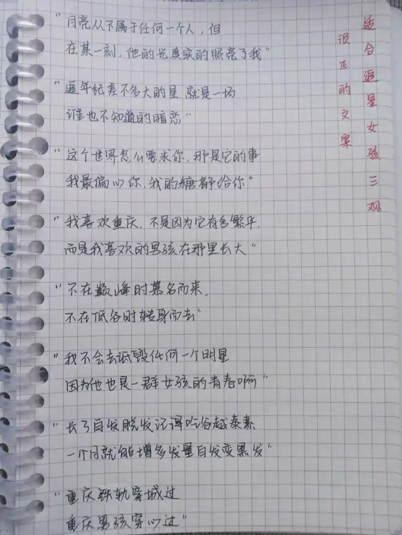 "我不会去诋毁任何一个明星 因为他也是一群女孩的青春啊"#追星文案