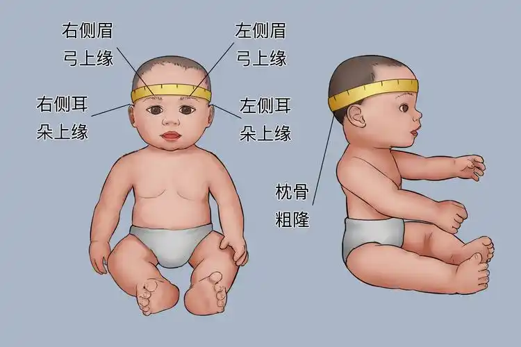 头围测量图