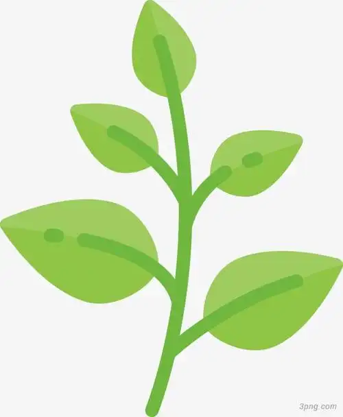 卡通绿色树苗png素材透明免抠图片-动植人物