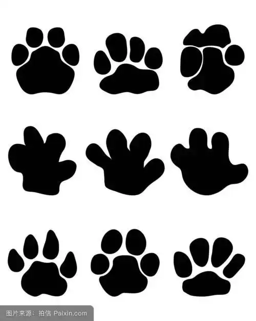 马脚印简笔画的