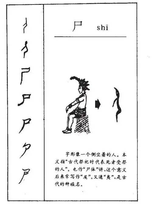 字:甲骨文的匕,尸,介,尿,屎,身