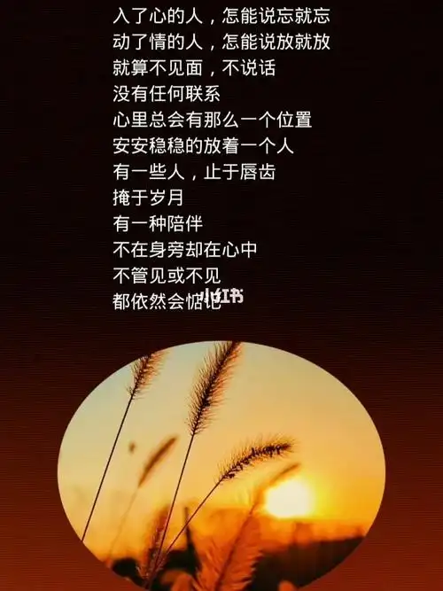 人生感悟_沈阳攻略_人生感悟_语录_情感语录_素材_文字素材