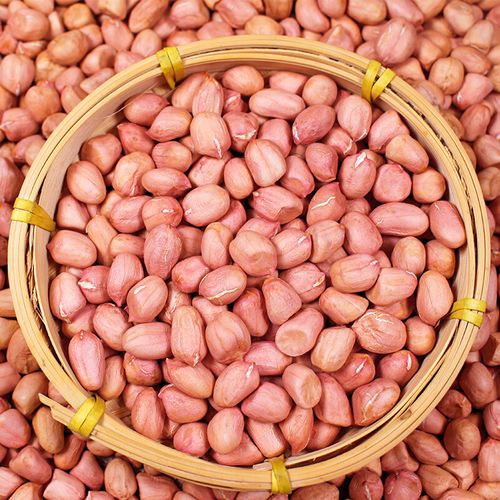 味巴哥红皮小花生米新鲜红衣生山东新货去壳5斤四粒红花生仁油炸 红皮