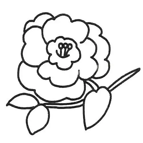 山茶花精灵简笔画