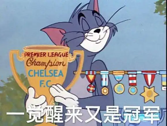 一觉醒来又是冠军猫和老鼠汤姆猫猫和老鼠汤姆觉醒冠军表情