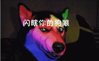 亮瞎了我的钛合金狗眼
