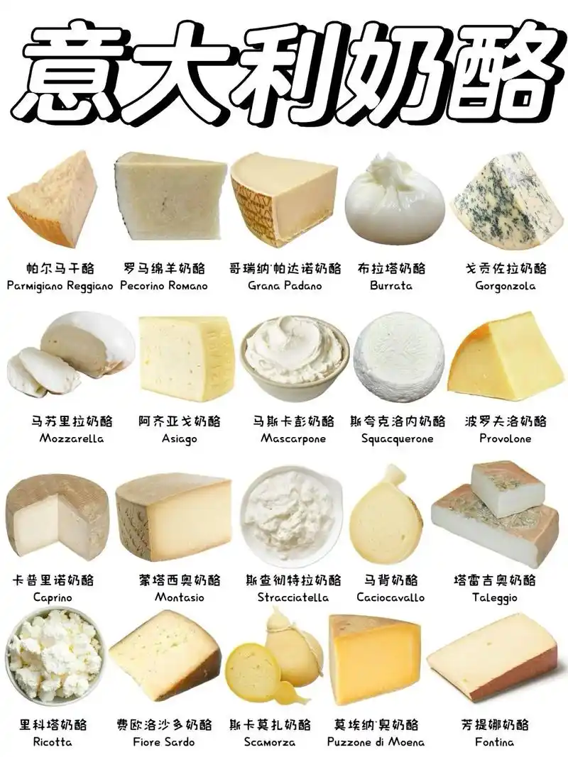 意大利最受欢迎的奶酪有哪些71 7415帕尔马干酪