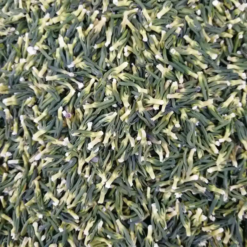 莲子心.本草纲目:藕生水中,其叶名荷,其实莲子,莲子中青心曰 - 抖音