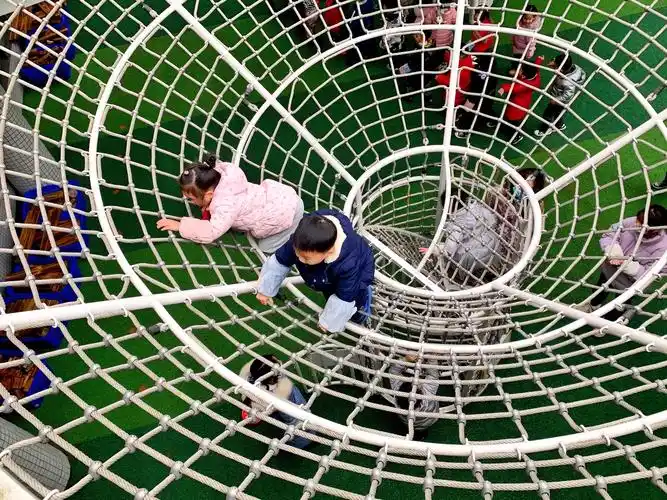 攀爬区里乐趣多