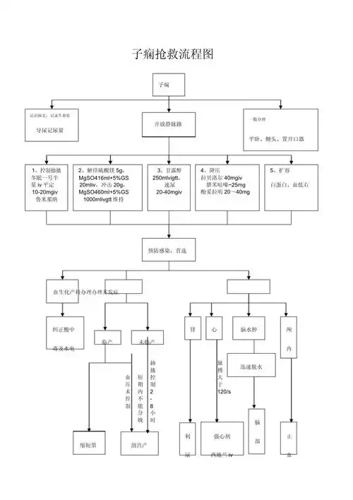 子痫抢救流程图