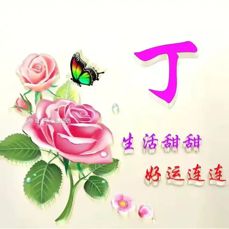 玫瑰花姓氏头像,#个性头像设计  - 抖音