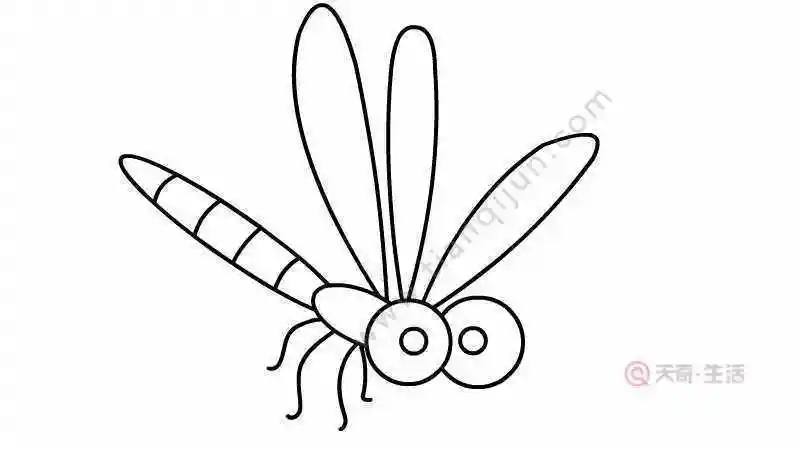 鬼蜻蜓简笔画可爱