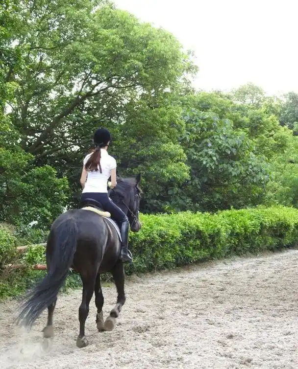 原创51岁萧蔷骑马背影太撩人把制服穿成紧身衣估计也只有她一人