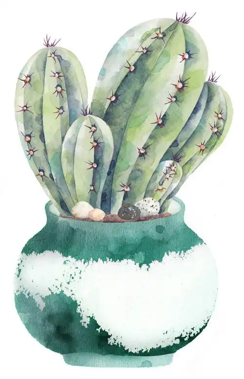 手绘仙人掌植物大图