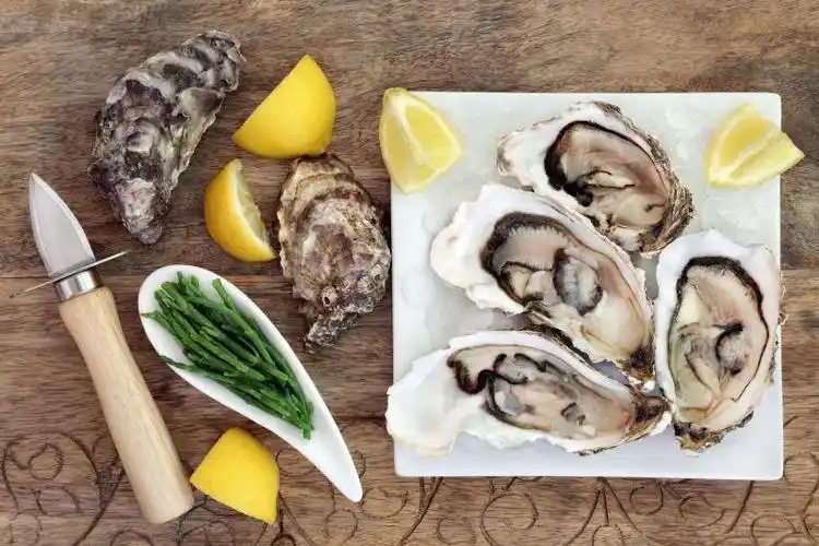 牡蛎在一块方形的中国盘子上上面放着牡蛎刀海参和柠檬果