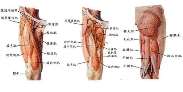 这一点好处让女性越变越美!