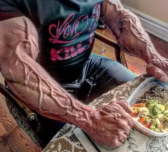 肌肉大块超低体脂青筋暴起长相酷似史泰龙的大叔