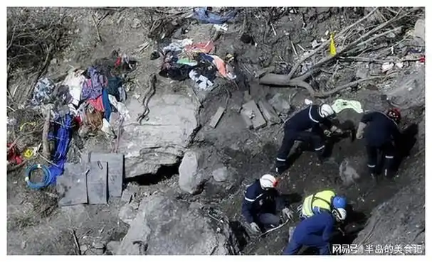 史上最绝望空难,机长去上厕所,驾驶舱门被锁,飞机撞山