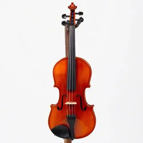 伊斯曼最畅销的学生分数小提琴vl80