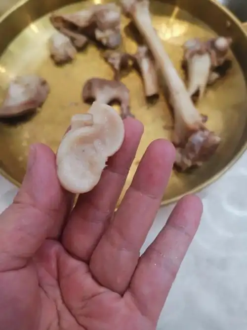 哈吃出一颗羊拐骨