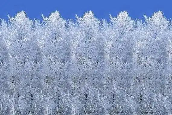 三维立体图怎么看