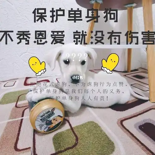 有了他终于可以放心上班了