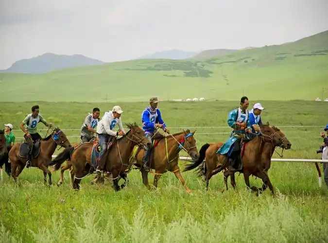 向草原·那达慕|赛马:征服桀骜不驯,重回广阔自然