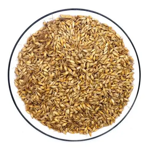 汇茸堂正宗生麦芽中药材药用500克另售炒麦芽新晒大麦芽回奶可配独脚