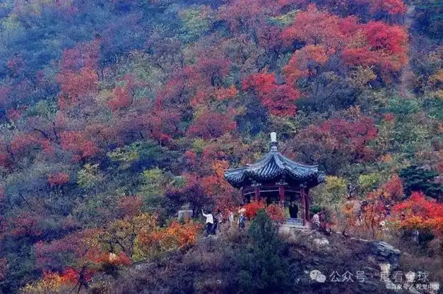 香山公园景点详细介绍国家4a级景区香山公园的华丽变身历程