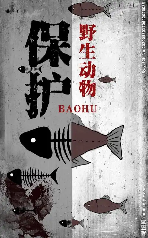 保护野生动物肖原创图片