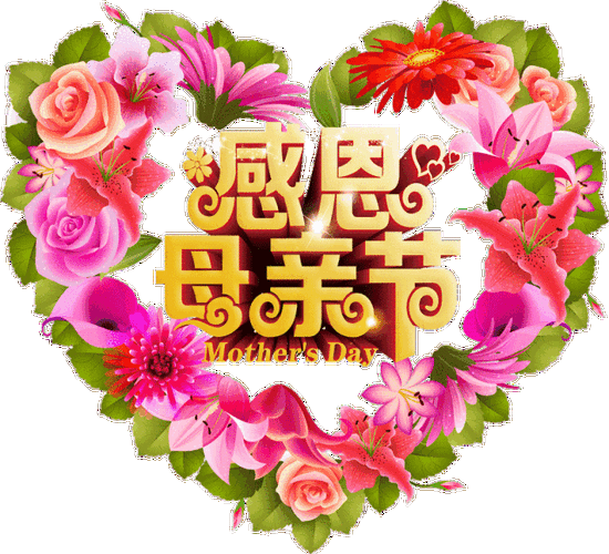 感恩伟大的母亲