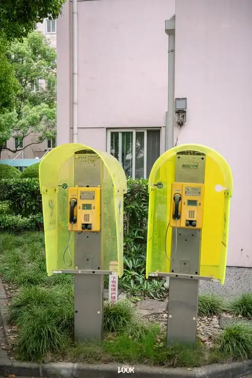 学校里的电话亭,好像一次也没用过叫不出名字的猫,撸一次它就记住你了