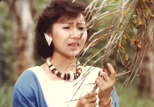 p> b>张德兰 /b>(teresa cheung)1960年11月10日出生,香港久负盛名的