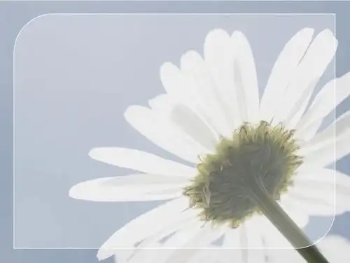 商务教育自然通用ppt简约大方素雅 (55)