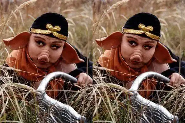 听说过人脸识别你听说过猪脸识别吗