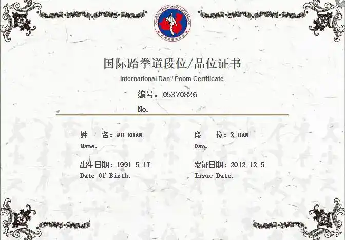 学习跆拳道,助孩子成才! (文强幼儿园)