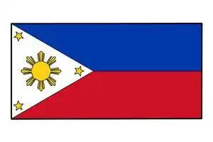 意大利的国旗简笔画