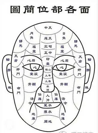 在面相12宫中,鼻子被称为"财帛宫",鼻头越丰隆,收入越多,鼻翼越饱满