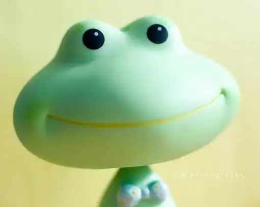 可爱的小青蛙
