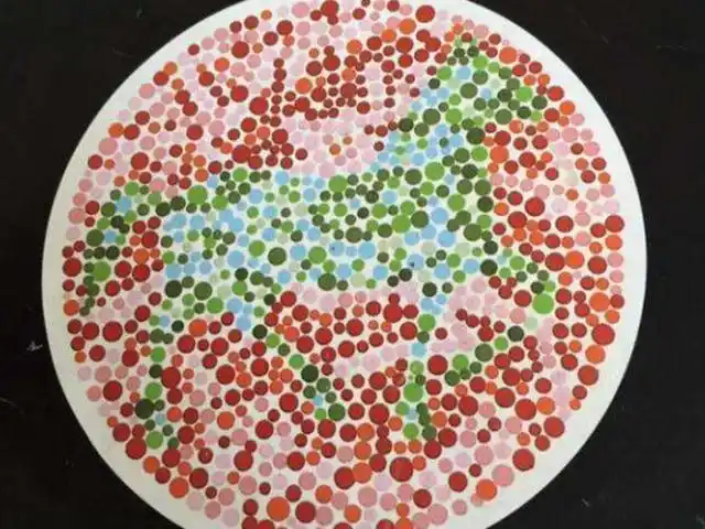 驾照考试色盲色弱检查图,看不到,可能色盲色弱了!